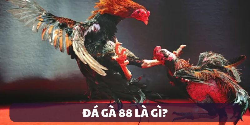Tổng quan về sân chơi đá gà 88