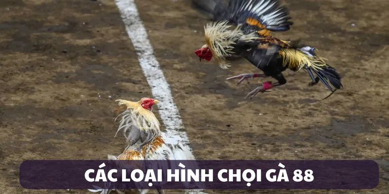 Các loại cược phổ biến