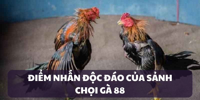 Điếm nhấn thu hút khách hàng của đá gà 88