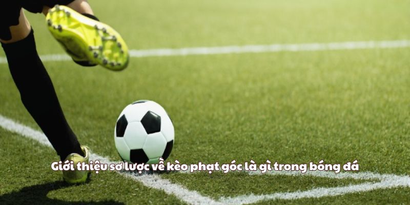 Giới thiệu sơ lược về kèo phạt góc là gì trong bóng đá