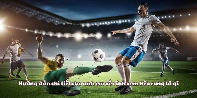 Một số loại kèo rung phổ biến nhất