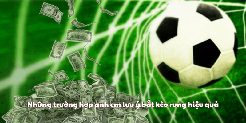 Mẹo bắt kèo rung đỉnh cao cũng các chuyên gia